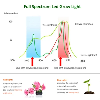 1000W LED Grow Light Panel Füto Lamp Taimede Täieliku Spektri Led Phytolamp Seemikud Siseruumides Kasvav Maitsetaimed Lamp Õitsemise