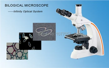 Hot Müük Kvaliteetse Tehtud Hiinas 40X-1600X Trinocular Bioloogilise Mikroskoobi BM-L2800 Koos 1.3 M Pixel CMOS Digitaalne Kaamera