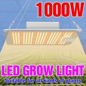 Led Grow Light Täieliku Spektri 300W 500W 1000W 2000W 4000W Füto Lamp Taimed Valgus Siseruumides Taime Seemned Kasvu Kasvada Telk Box