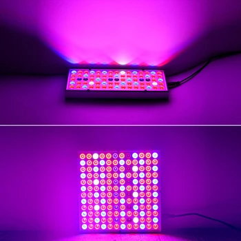 LED Grow Light Täieliku Spektri Taimed Kasvavad Telk Füto Lamp Fitolamp Indoor Led Kasvu Lambid Seemikud Kasvuhoones Valgustus