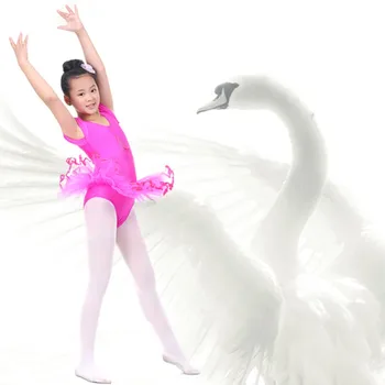 2018 Lapse Tüdrukud Koolitus Võimlemine Ballet Tutu Leotard Lühikesed Varrukad Tantsu Kleit Suurus 4