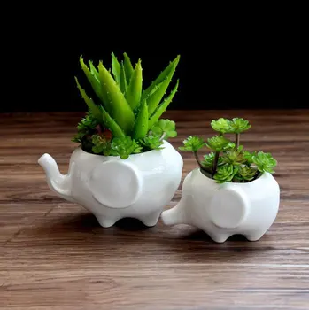 Lillepott istutus-Valge elevant keraamiline pote de vidro müügiks aed potid lill vasi macetas pot fleur bonsai potid