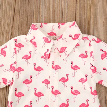 2020. aasta Suvel Vastsündinud Beebi ja Poiste Riided, Komplekt Lastele Lühikesed Varrukad Õie Flamingo Prindi Single-breasted Särk + lühikesed Püksid, 1-5T Komplekt