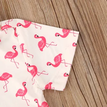 2020. aasta Suvel Vastsündinud Beebi ja Poiste Riided, Komplekt Lastele Lühikesed Varrukad Õie Flamingo Prindi Single-breasted Särk + lühikesed Püksid, 1-5T Komplekt