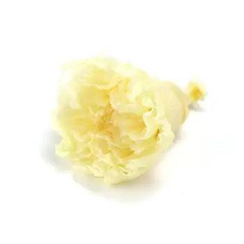 8pcs 4-5cm Kõrge Kvaliteediga Kuiv Loomulik, Värsked, Konserveeritud Nelgi Lill emadepäeva Kingitus Lille 24 värvi