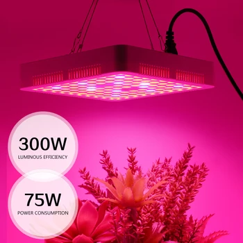 LED Grow Light Täieliku Spektri 300W AC85-265V Taime Valgustuse Fitolamp Sise-Lille Külvi Kasvav Taim Füto Lamp